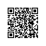 EW-04-13-S-S-875 QRCode