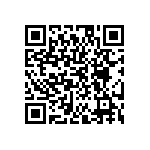 EW-09-09-T-D-300 QRCode