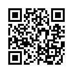 FCE17E09AD410 QRCode