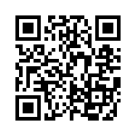 FCE17E09PA28B QRCode