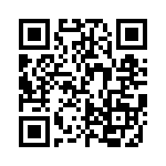 FCE17E09PE240 QRCode