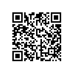 FW-04-03-L-D-300-100 QRCode