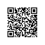 FW-04-04-F-D-313-137 QRCode