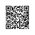 FW-13-04-G-D-300-233 QRCode