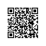 HE30806T1706PB6M QRCode