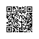 IELK111-1-63-100-Z-01-V QRCode