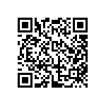 JW-13-04-T-S-250-250 QRCode