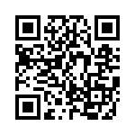 KJB0T17J26PAL QRCode