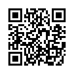 KP1830210011G QRCode