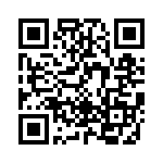 KV0950540000G QRCode