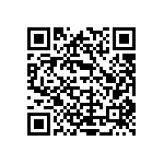 L17DM53744207C309 QRCode