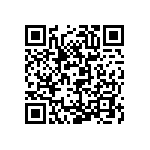 L2C2-50801204E1300 QRCode