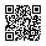 LCE13 QRCode