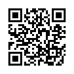 LQH32DN101K53L QRCode