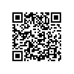 M55342H03B51D1RT5 QRCode