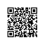 M55342H04B12B1RWS QRCode