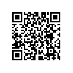 M55342H04B232GRWS QRCode