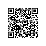 M55342H04B2B87RWS QRCode