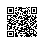 M55342H04B30B1RWS QRCode