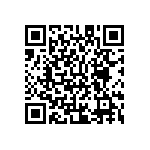 M55342K01B100DRT5V QRCode