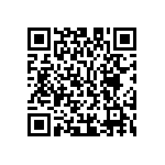 M55342K02B100APWS QRCode