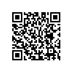 M55342K02B100BPWS QRCode