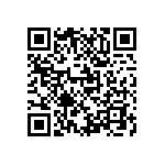 M55342K02B12B4RWS QRCode