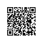 M55342K02B33D2RWSV QRCode