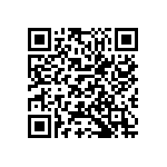 M55342K03B10B4RBS QRCode