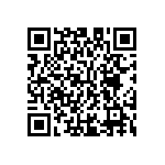 M55342K03B11B5RT5 QRCode