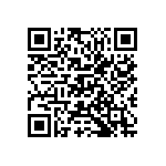 M55342K03B30B1RWS QRCode