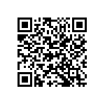 M55342K04B10B9RT5 QRCode