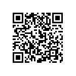 M55342K04B402BRT5 QRCode