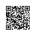 M55342K06B120ARTI QRCode