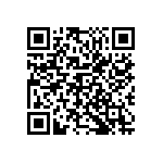 M55342K12B100BPWS QRCode