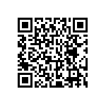 MINT1022A1205I01 QRCode