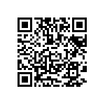 MKP385333063JC02H0 QRCode