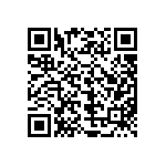 MKP385420250JPP2T0 QRCode