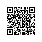 MKP385533063JPM2T0 QRCode