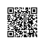 MKP385533063JPP2T0 QRCode