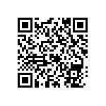 MKP385536063JPP2T0 QRCode