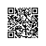 MP22T1-C24-4070-T4B-1-00 QRCode