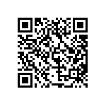 MP22T1-C24-4080-T2-1-00 QRCode