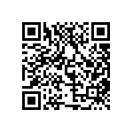 MP22T1-C24-4080-VSM-2-00 QRCode