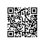 MP4-2E-1E-1L-4LL-00 QRCode