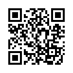 MSMBG13A QRCode