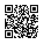 NS5B1G384DFT2G QRCode