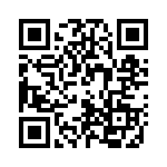 P0300EAL QRCode