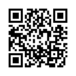 P2951 QRCode