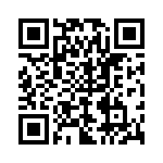 P4-38R-T QRCode